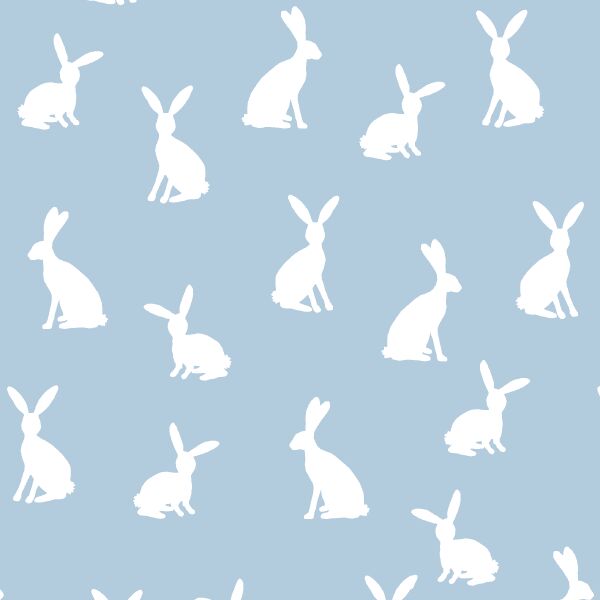 Cottontail Silhouette in Sky
