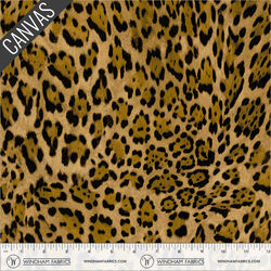 Leopard Canvas in Leopard
