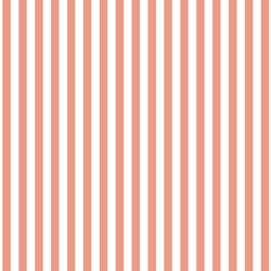 Dress Stripe in Grapefruit