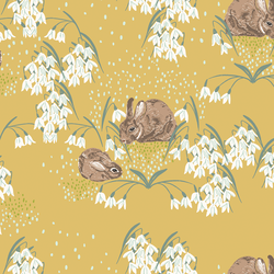 Large Gentle Bunnies in Sunlight