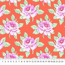 Hello Roses in Coral