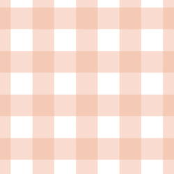 Large Gingham in Muted Peach