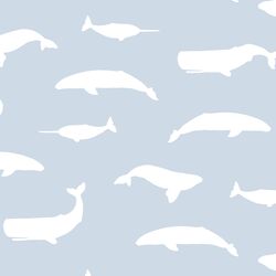 Whale Silhouette in Cirrus