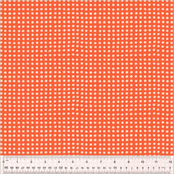Dots in Delphinium