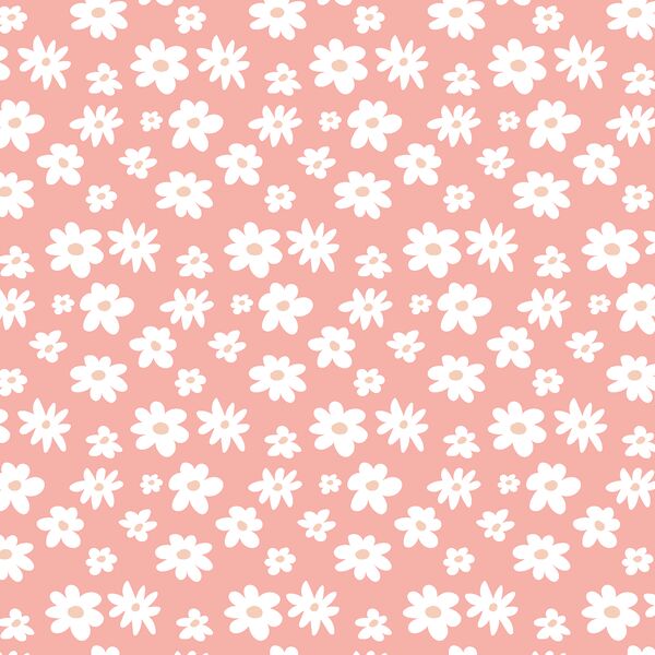 Daisies in Coral