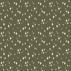 Starry Night in Forest