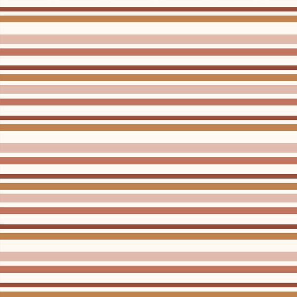 Perfect Stripe in Morning Light