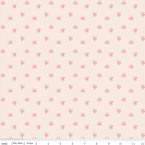 Endearing in Coral