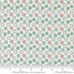 Sand Dollar in Multi
