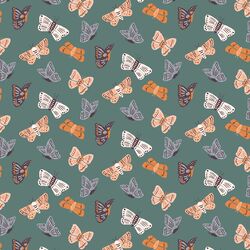 Fall Moths in Juniper Green