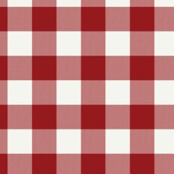 Winter Gingham in Holly