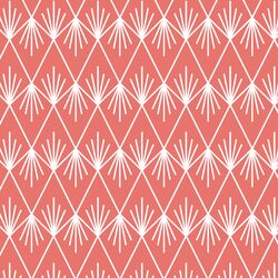 Northern Reflections in Living Coral