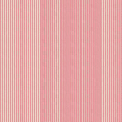 Tinystripe in Pink