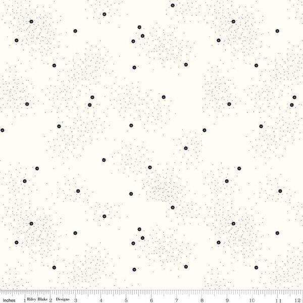Dainty Daisy in Licorice on Cloud