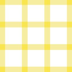 Big Summer Gingham Check in Dandelion