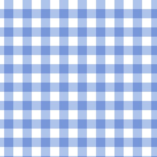 Sweet Gingham in Pool Blue