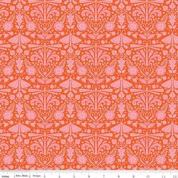 Field Study in Orange