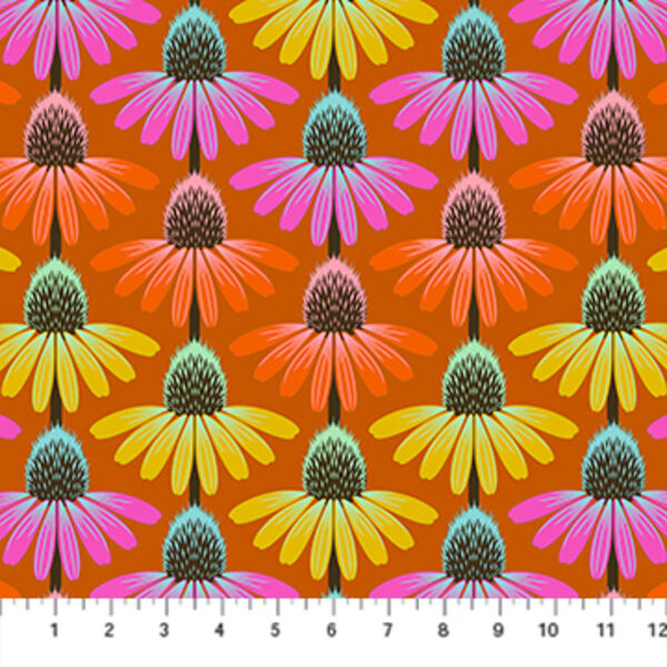 Echinacea Rhythm in Fire