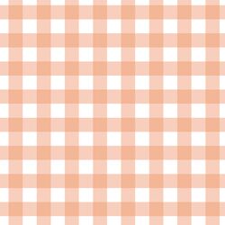 Gingham in Deep Peach