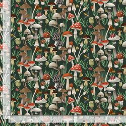 The Fungi Kingdom in Forest