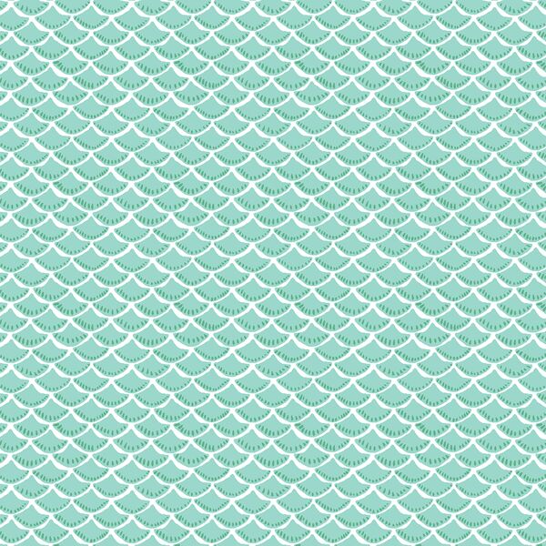 Scallop in Splash