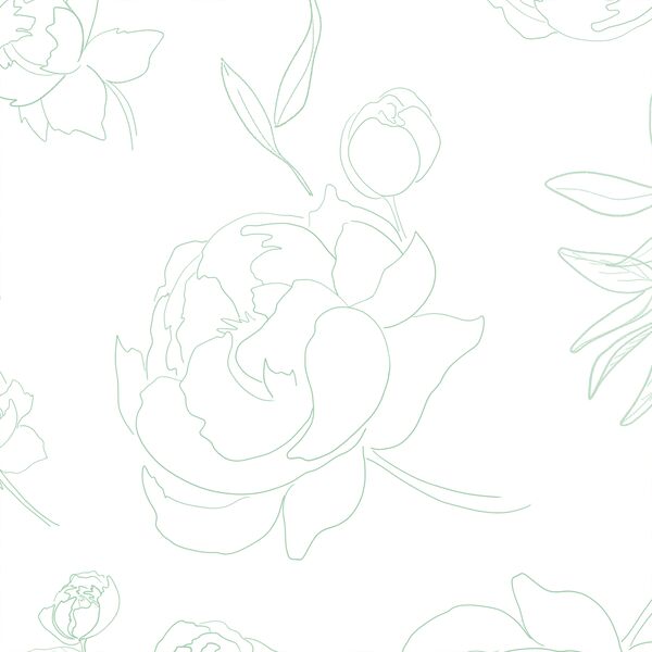 Large Peony Linework in Fresh Sage