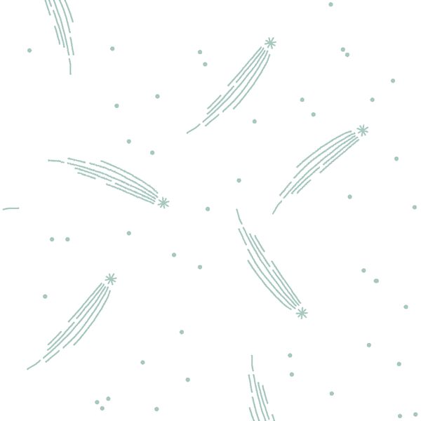 Meteor Shower in Aspen on White