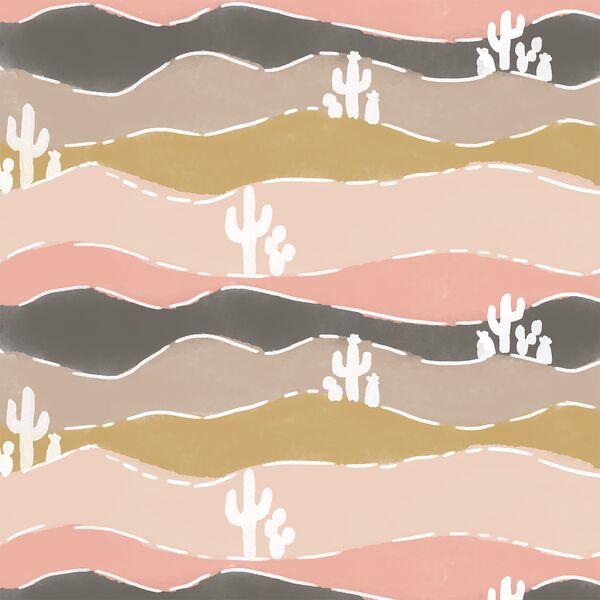 Basin and Range in Coachella
