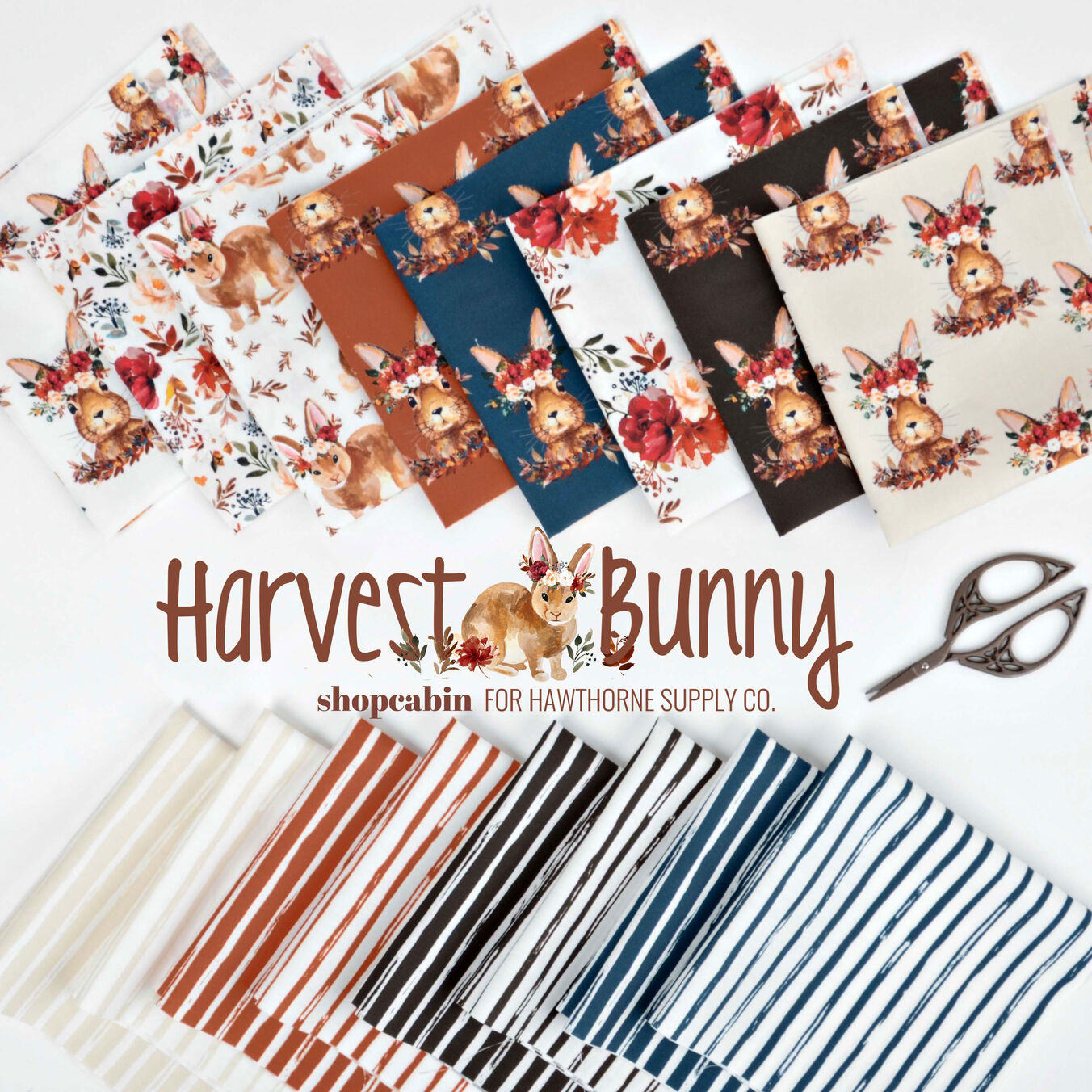 Harvest Bunny Poster Image