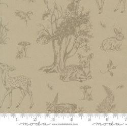 Fawns and Fables in Sage