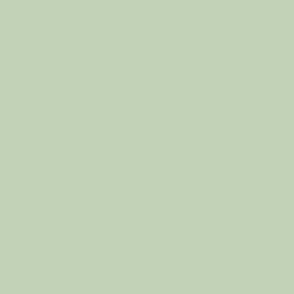 Confetti Cotton in Sage