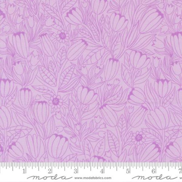 Tulip Lines in Lavender