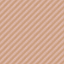 Painted Stripe in Blooming