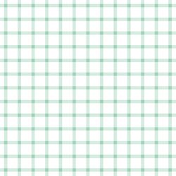 Summer Gingham Check in Sweet Mint