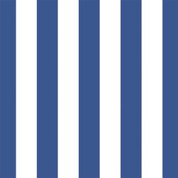 Play Stripe in Blue Jay