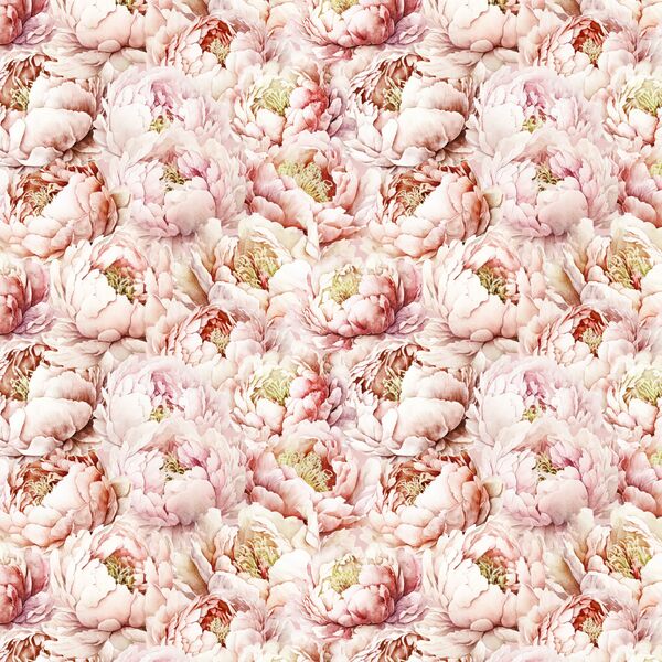 Peony Love in Blush