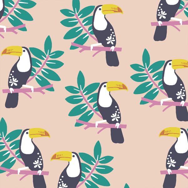 Toucans in Shell