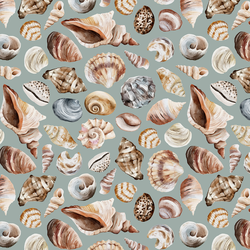 Shells in Eucalyptus