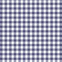 Small Buffalo Plaid in Indigo