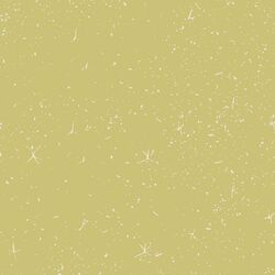 Texture in Meadow