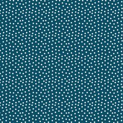 Pindot in Night Sky
