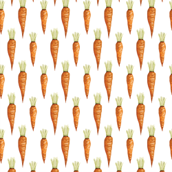 Carrots in White