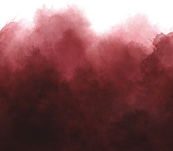 Mystic Ombre in Burgundy