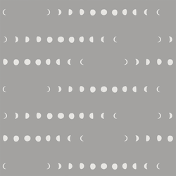 Moon Phases in Lunar