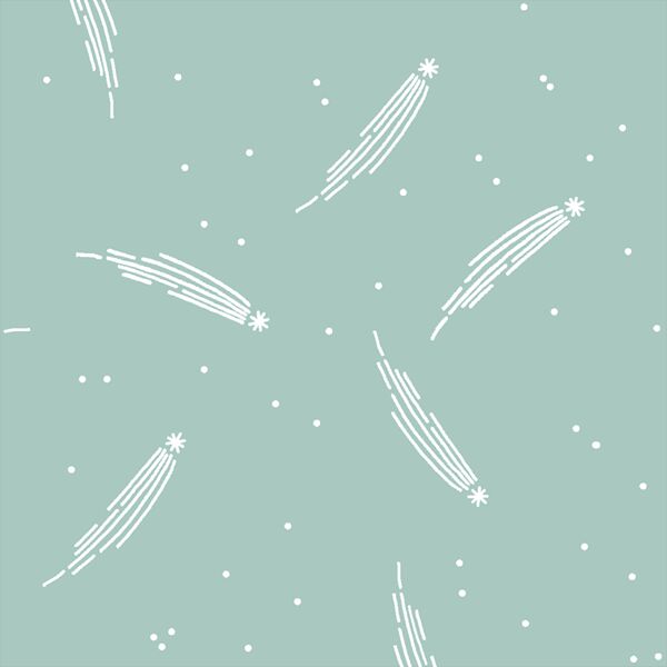 Meteor Shower in Aspen