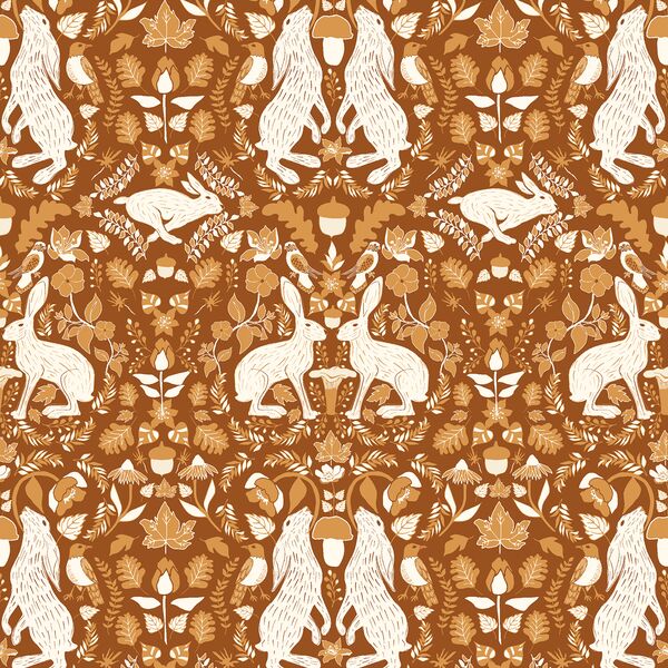 Rabbit Adventures in Acorn