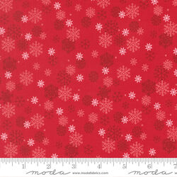 Snow Flurry in Poinsettia