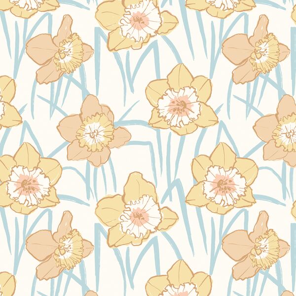 Daffodil Fields in Dawn