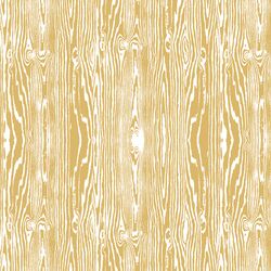 Woodgrain in Sunlight