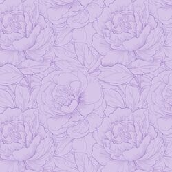Peony Sketch in Lilac